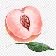 麻豆网站APP应用